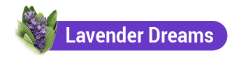 Lavender Dreams Scent Icon Title