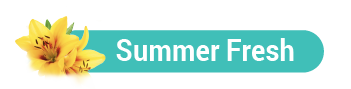 Summer Fresh Scent Icon Title