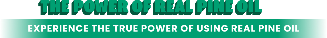 head_power_pine